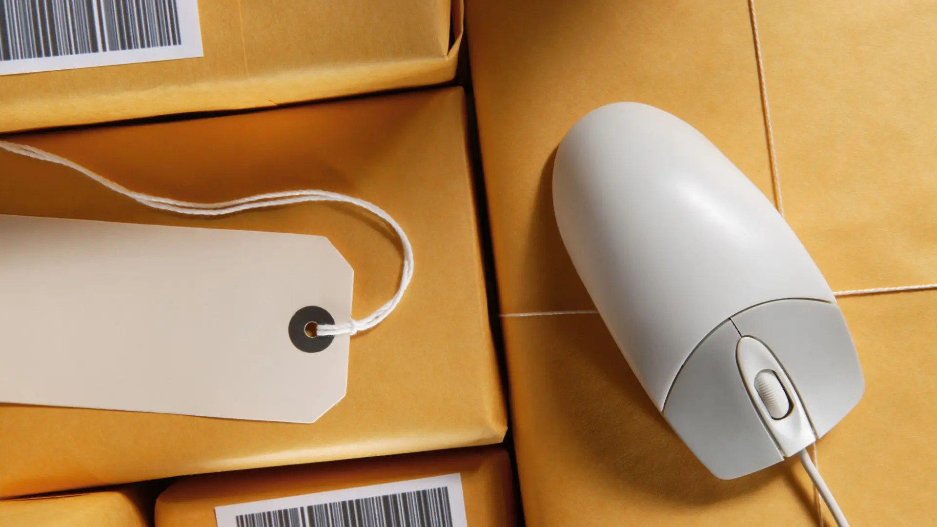 préparation de commande pour pme ecommerce : sourris et colis